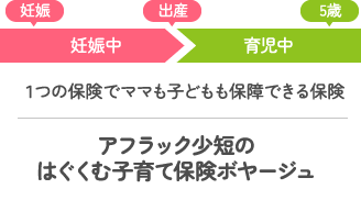 １つの保険でママも子どもも保障できる保険 アフラック少短のはぐくむ子育て保険 ボヤージュ